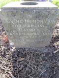 image of grave number 380568